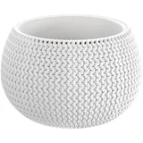 Prosperplast Splofy Bowl