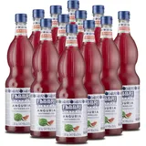 fabbri 1905 Wassermelone 12000 ml