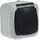 ChiliTec Feuchtraum Steckdose IP44 250V ac 16A, Aufputz Rahmen, grau