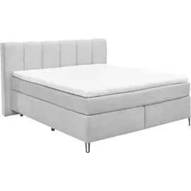 Set One by Musterring Boxspringbett »Fairfield« Metallfuß schwarz, Kopfteil mit Keder, Breite 160 oder 180 cm grau