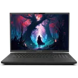 Captiva Highend Gaming I81-506 17,3'' Core i9-14900HX 32 GB RAM 2 TB SSD RTX 4080