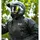 Oxford Rainseal Thermo Regenjacke Unisex Schwarz L