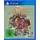 The Knight Witch Deluxe Edition (PlayStationPS4)