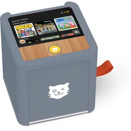 Tiger Media Tigerbox Touch Plus grau