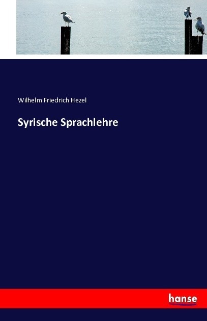 Syrische Sprachlehre - Wilhelm Friedrich Hezel  Kartoniert (TB)