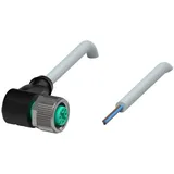 Pepperl+Fuchs Fabrik Kabeldose V11-W-10M-PVC