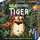 Kosmos Der achtsame Tiger - Das tierisch spannende Merkspiel