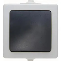 Kopp 565756004 NAUTIC - Kreuzschalter, Farbe: grau