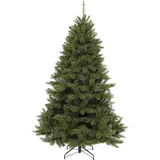 triumph tree® Triumph Tree Bristlecone Höhe: 185 cm