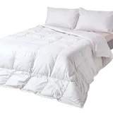 Homescapes leichte Sommerbettdecke Wärmeklasse 2, Gänsefeder- und Daunendecke, 200 x 200 cm,