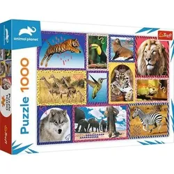 TREFL 10673 Puzzle 1000 - Animal Planet Wilde Tiere