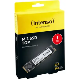Intenso Top Performance 1 TB M.2
