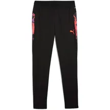 Puma IndividualCUP Trainingshose Herren 07 black XXL