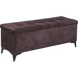 ed exciting design Sitzbank Oregon Aubergine 140 x 58 x 50 cm