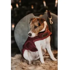 Kentucky Hundejacke Hundemantel Schwarz 28-33 cm