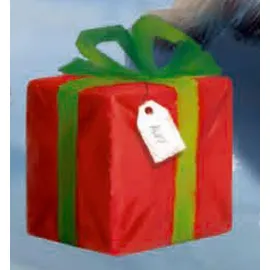 Coppenrath Verlag Wand-Adventskalender Katzen-Weihnacht