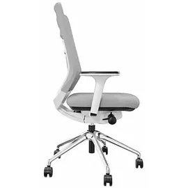 FM Helmets fm Bürostuhl Asiento, 4260761570402 Stoff grau, Gestell grau