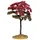 Lemax - Linden Tree, Small