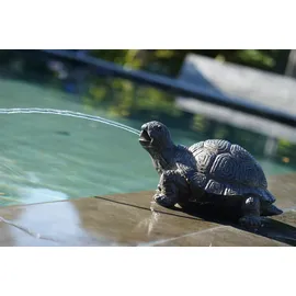 UBBINK Wasserspeier Schildkröte