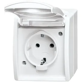 Busch-Jaeger Schuko-Steckdose 20 EW-54 Alpinweiß