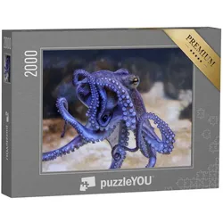 puzzleYOU Puzzle Blauer Oktopus in einem Aquarium, 2000 Puzzleteile, puzzleYOU-Kollektionen Tintenfische