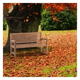 CLP Halden 150 x 92 x 60 cm Braun