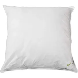 BettwarenShop Kopfkissen Exclusiv 60 x 60 cm Weiß