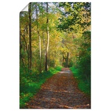 Artland Wandbild »Weg im Herbst Wald«, Wald, (1 St.), beige