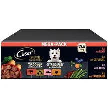 Cesar Natural Goodness Premium Hunde Nassfutter in der Schale Getreidefrei mit Superfoods in 4 Varietäten Megapack 24x100g