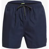 QUIKSILVER Everyday 15" - Schwimmshorts für Männer Blau