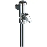 Grohe Dal WC-Druckspüler Silber
