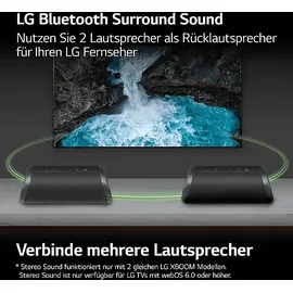 LG XBOOM Go DXG5 grau