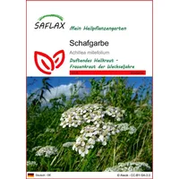 SAFLAX - Heilpflanzen - Schafgarbe - 200 Samen -