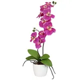 fuchs versand 24/7 Kunstpflanze Orchidee Phalaenopsis 60cm, 9 Blüten, pink, im Keramiktopf 13 cm, Fuchs Versand 24/7