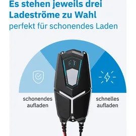 Ective Multiload 16s 16A 12/24V 9-Stufen Batterieladegerät mit Netzteilfunktion