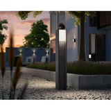 Philips Hue Turaco Anthrazit