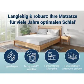 Betten-ABC KSP-500 7-Zonen Kaltschaum 160 x 200 cm H2/H3