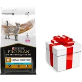 Purina Veterinary PVD NF Renal Function Cat 5kg + Dolina Noteci 85g