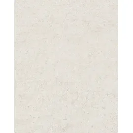 Erismann Vliestapete SAVANNA 0,53 m x 10 m 0,00 kg beige 1041814
