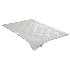 IRISETTE Mono-Steppbett Tencel ¦ weiß ¦ Maße (cm): B: 200 H: 4