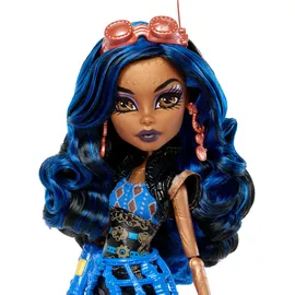 Monster High Robecca Steam (JHK59)