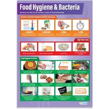 Daydream Education Poster für Lebensmittelhygiene und Bakterien, laminiertes Glanzpapier, 850 mm x 594 mm (A1)