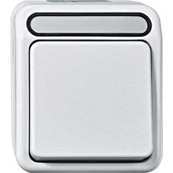 Merten Leuchtanhänger MEG3902-8000