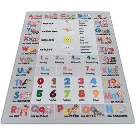 Ayyildiz Play Kinderteppich 80 x 120 cm Grau