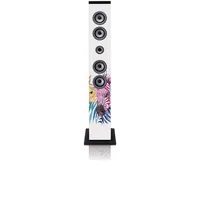 ICES IBT-6 zebra