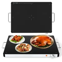 GOPLUS Elektrische Warmhalteplatte, Wärmeplatte mit 30°C-120°C einstellbare Temperatur, Speisewärmer mit gehärteter Glas & Seitengriffe, Heizplatte Buffetwärmer für Buffets & Partys (L, 61 x 42 x 4 cm)