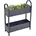 Garden Pleasure Tulpia x 23 x