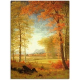 Artland Wandbild »Herbst in Oneida County, New York.«, Felder, (1 St.), als Leinwandbild, Poster in verschied. Größen bunt B/H: 60 cm x 80 cm