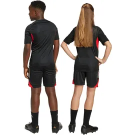 adidas Benfica Trainingsshorts 2025/26 Kinder Schwarz Gr. 164