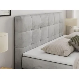 MKS Meble Boxspringbett mit Bettkasten ¦ grau ¦ Maße (cm): B: 160 H: 110